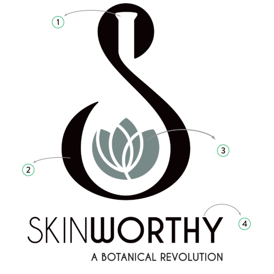 Skinworthy logo breakdown